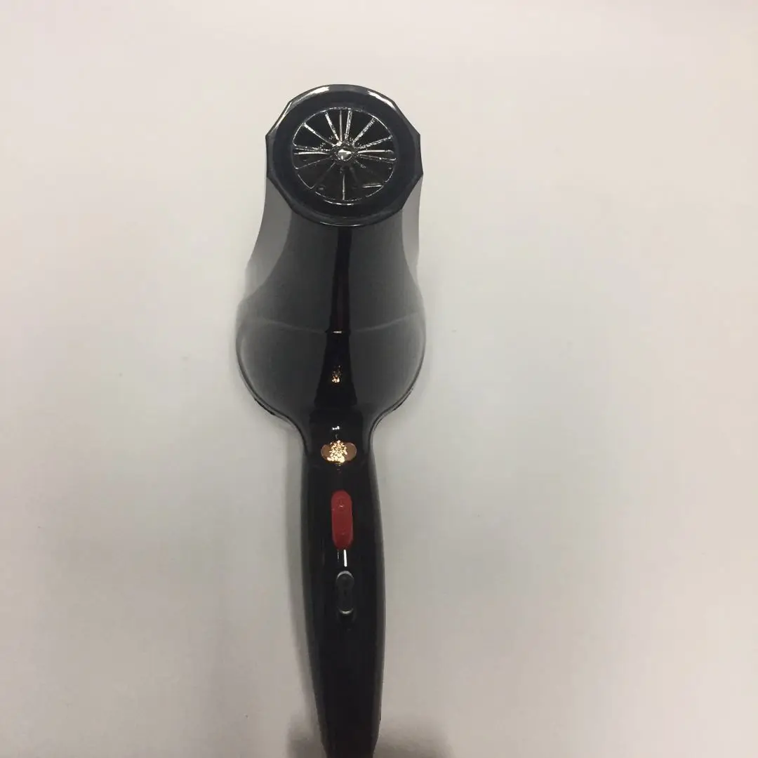 4 Speed Hair Dryer