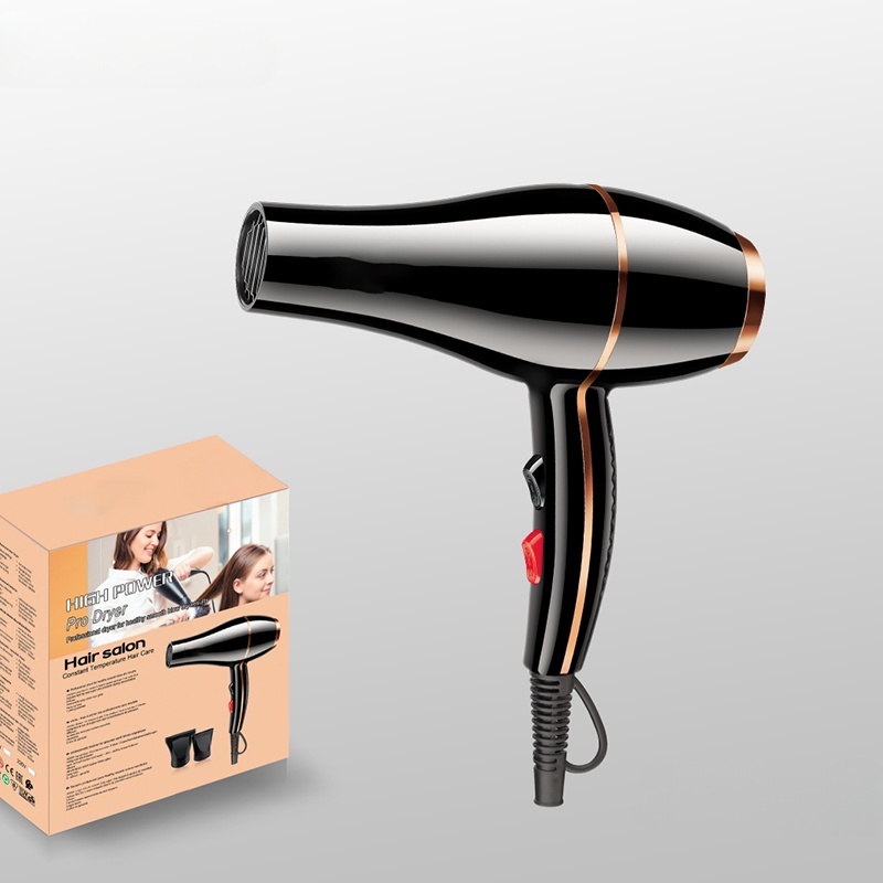 Electric Hair Dryer