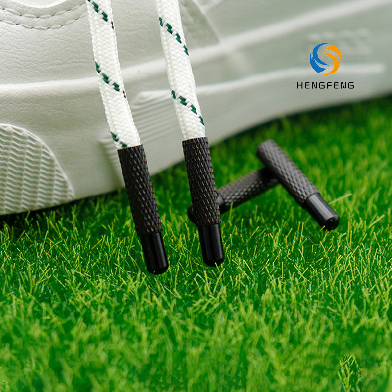 Shoelace